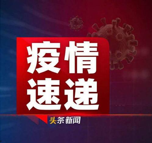 早安爆料头条新闻最新,揭秘今日热点事件,带你直击社会焦点 第3张 早安爆料头条新闻最新,揭秘今日热点事件,带你直击社会焦点 第3张